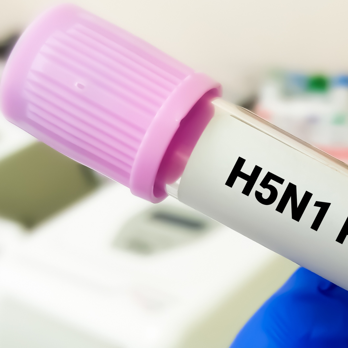 h5n1 molecular transport medium