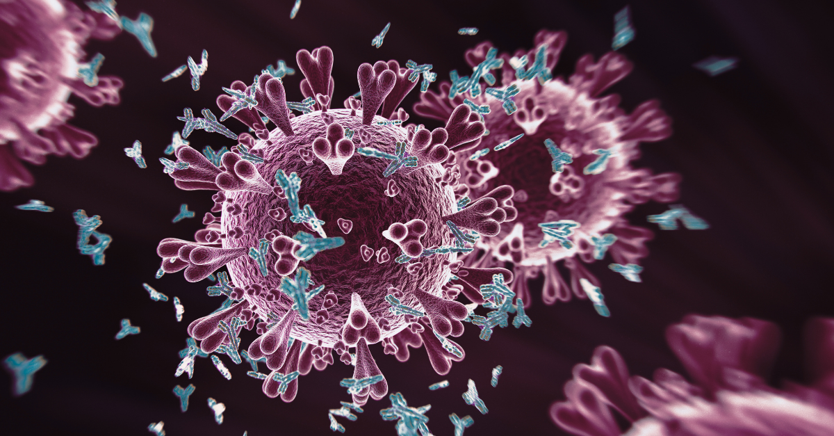 custom antibody development uk